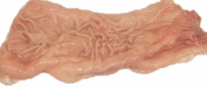 国産牛ギャラ芯2