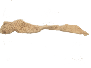 豚直腸（てっぽう）_0